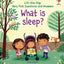 Usborne Lift the flap series very first questions and answers book
