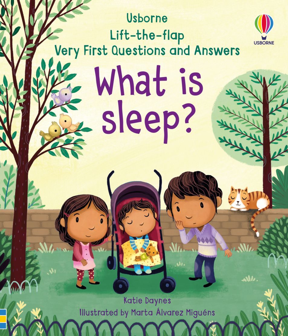 Usborne Lift the flap series very first questions and answers book