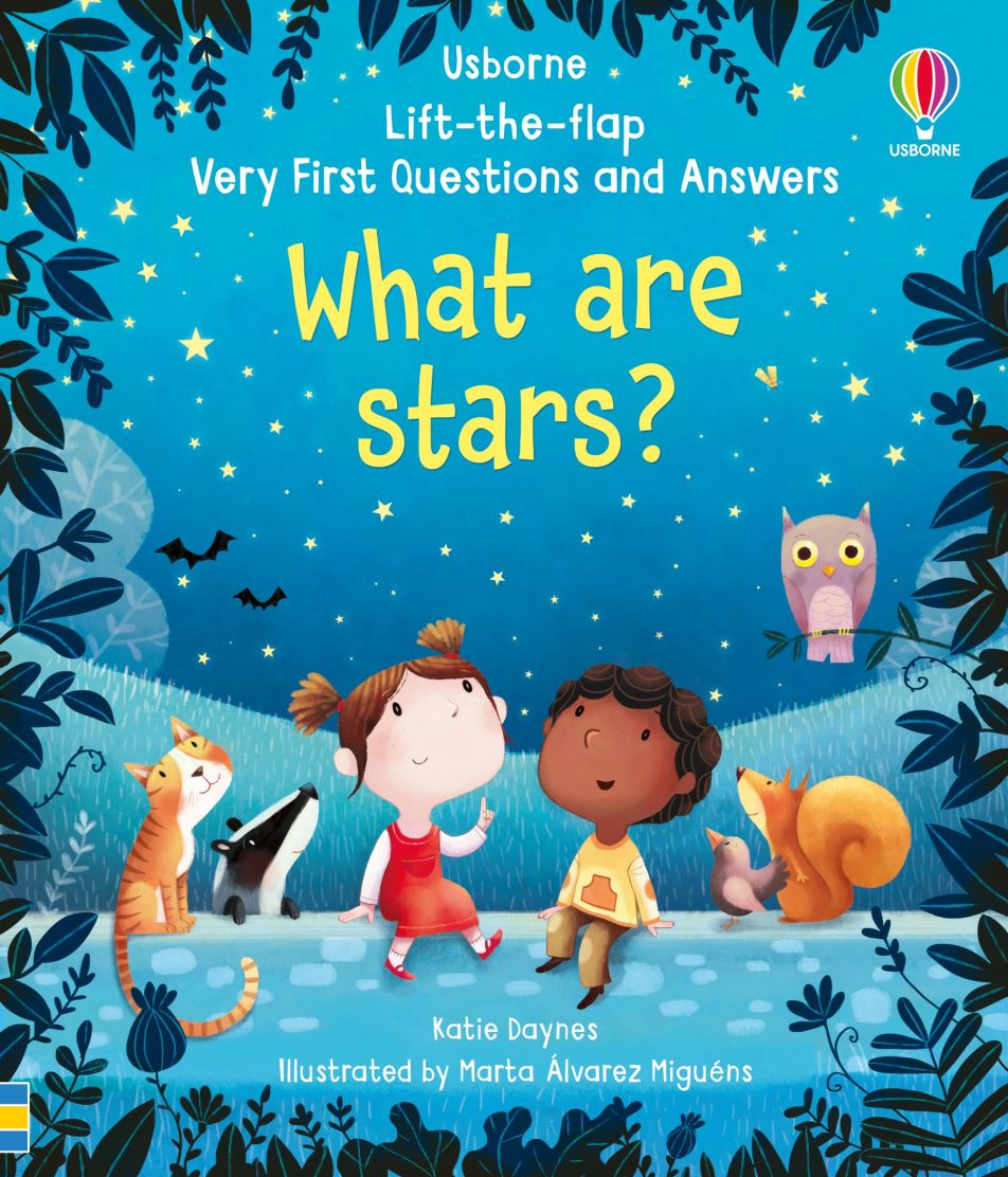 Usborne Lift the flap series very first questions and answers book