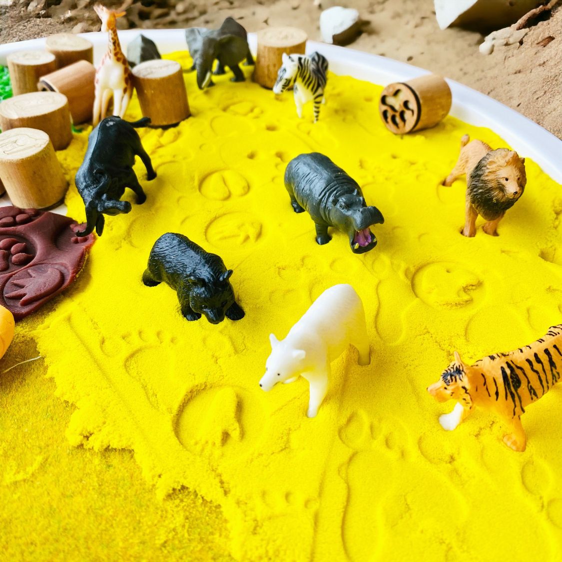 Wild Animals Theme Sensory Play Set