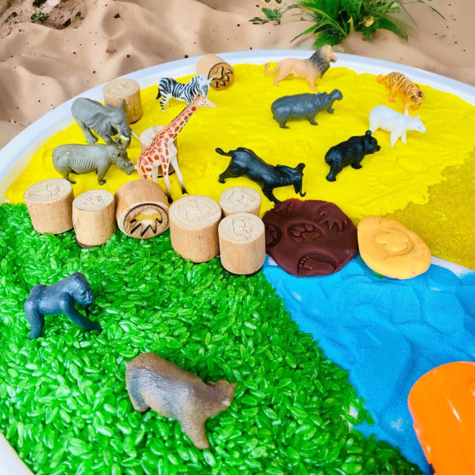 Wild Animals Theme Sensory Play Set