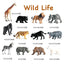 Wild Animals Theme Play Set. Sensory Pretend Play