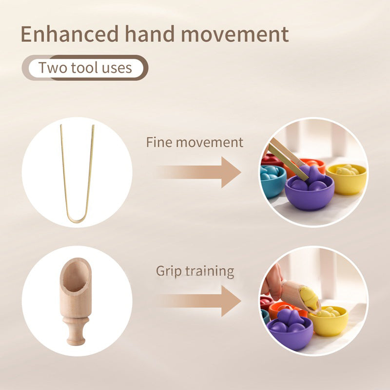 Wooden acorn colour sorting. Tweezer and Scoop included.