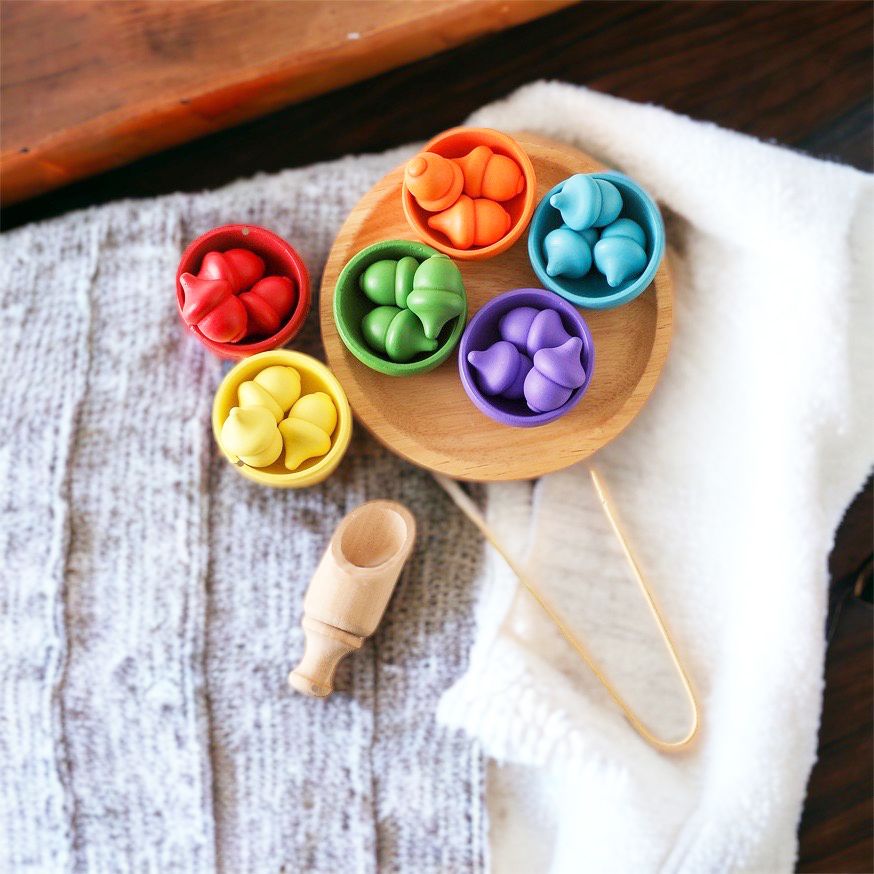 Wooden acorn colour sorting. Tweezer and Scoop included.