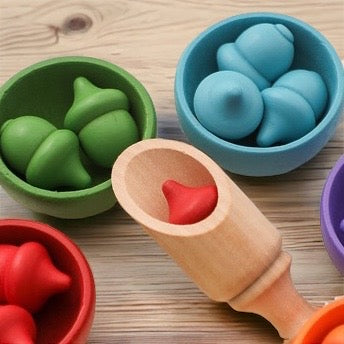 Wooden acorn colour sorting. Tweezer and Scoop included.