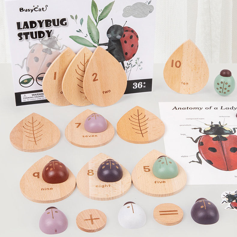 Montessori inspired wooden ladybug educational counting toy
