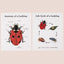 Montessori inspired wooden ladybug educational counting toy