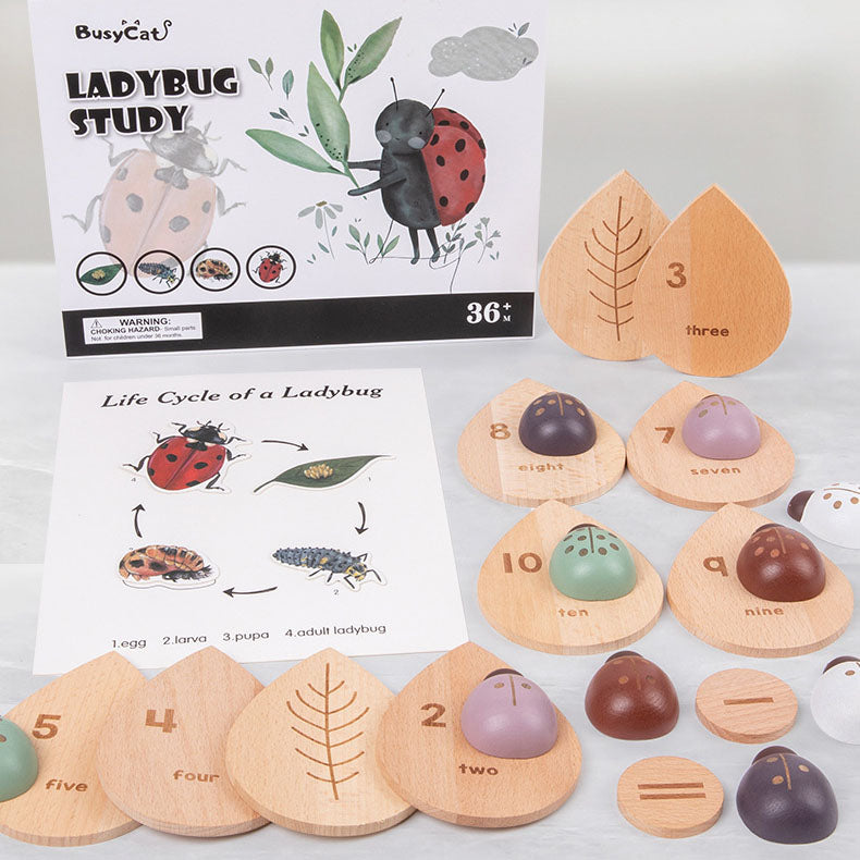 Montessori inspired wooden ladybug educational counting toy