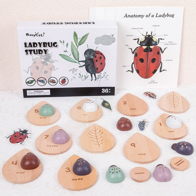 Montessori inspired wooden ladybug educational counting toy