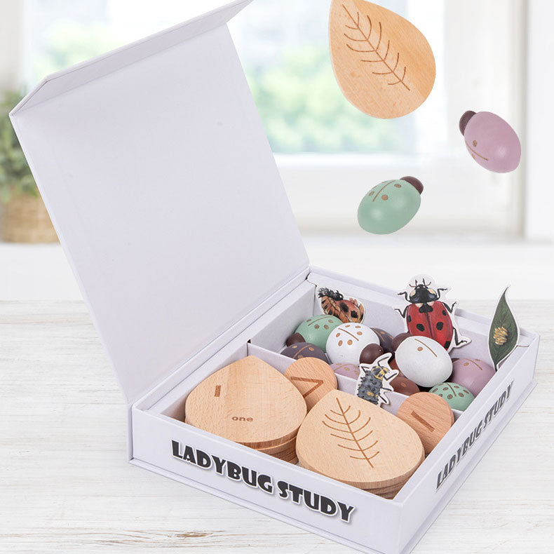 Montessori inspired wooden ladybug educational counting toy