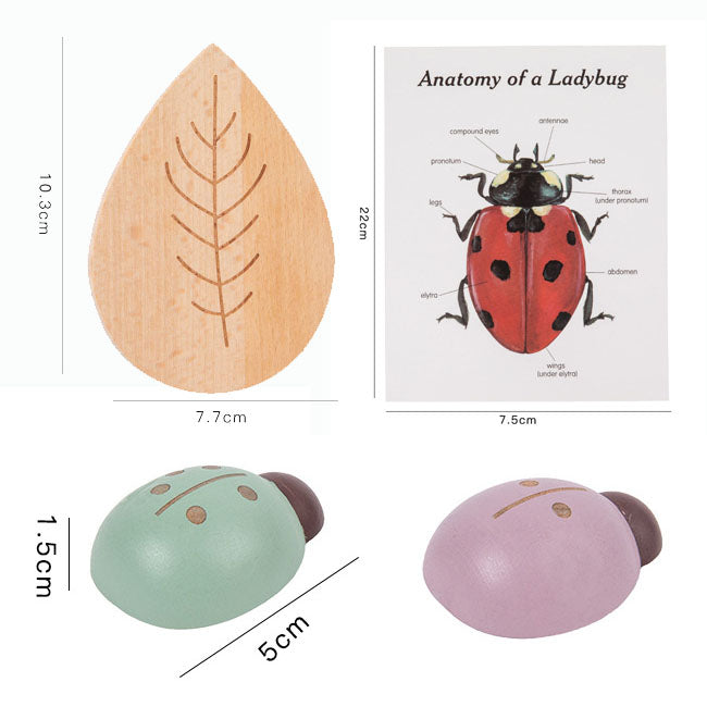 Montessori inspired wooden ladybug educational counting toy