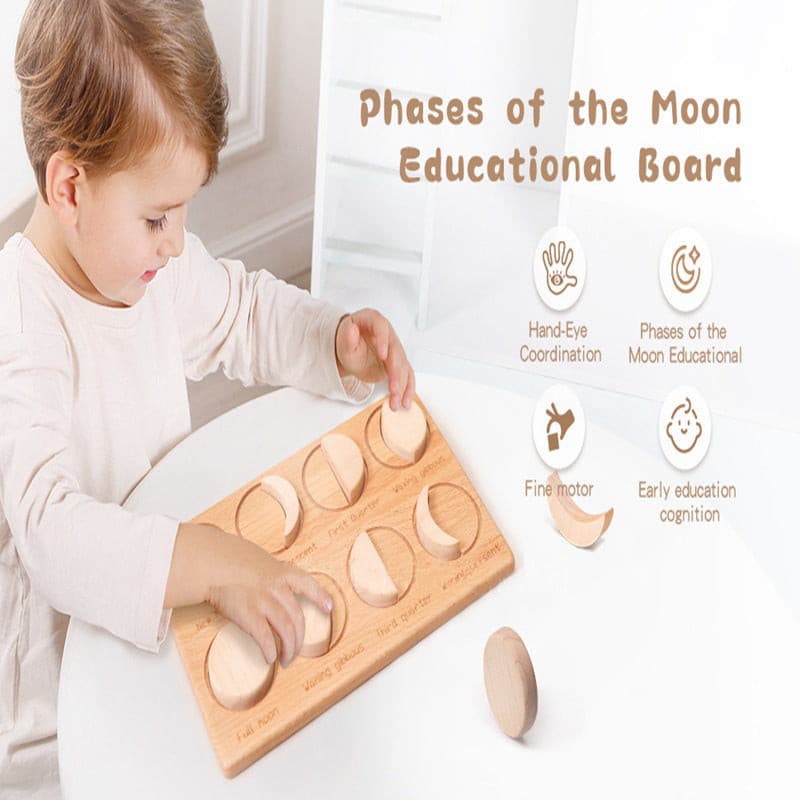 Phases of the Moon Educational Board. Science Toy