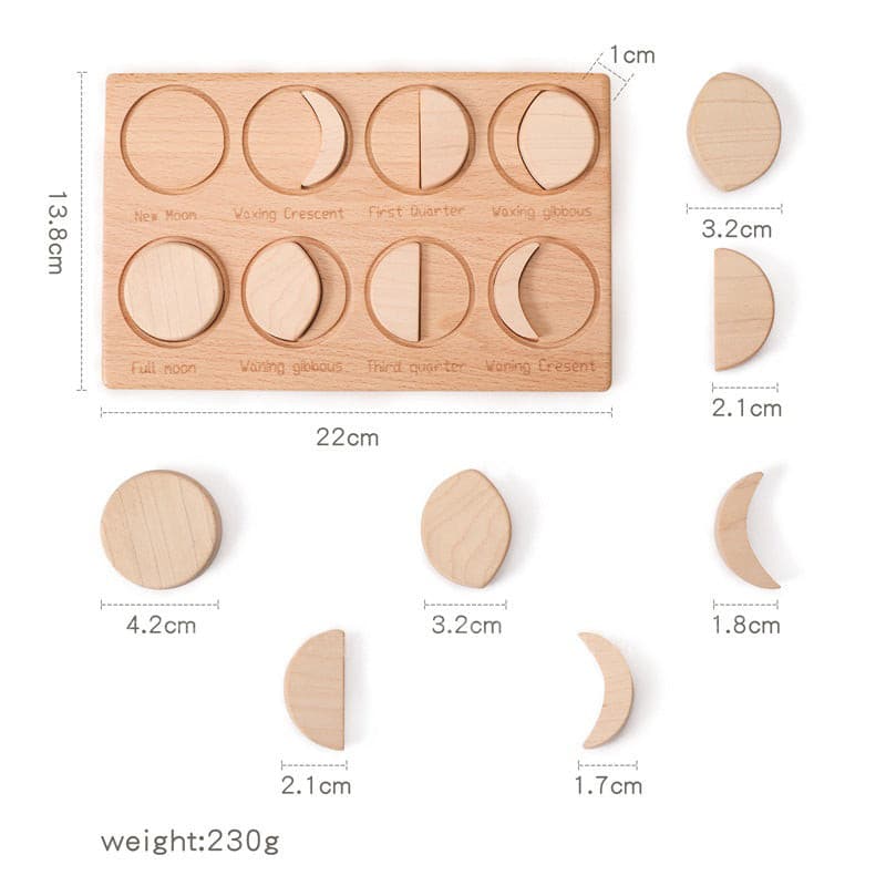 Phases of the Moon Educational Board. Science Toy