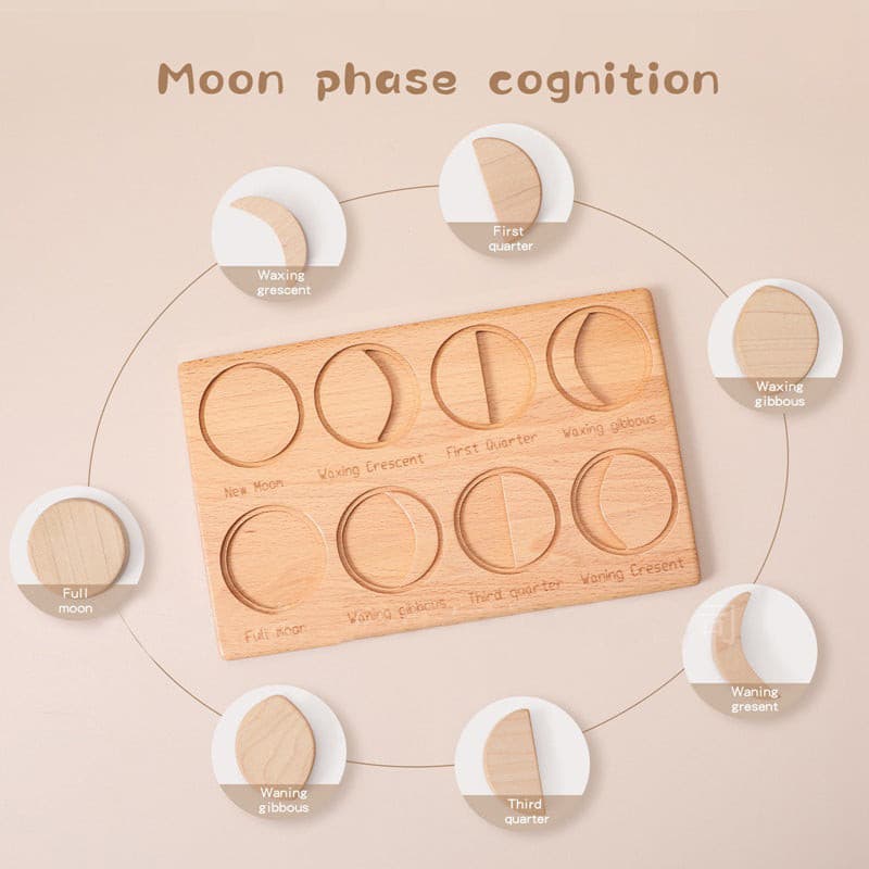 Phases of the Moon Educational Board. Science Toy