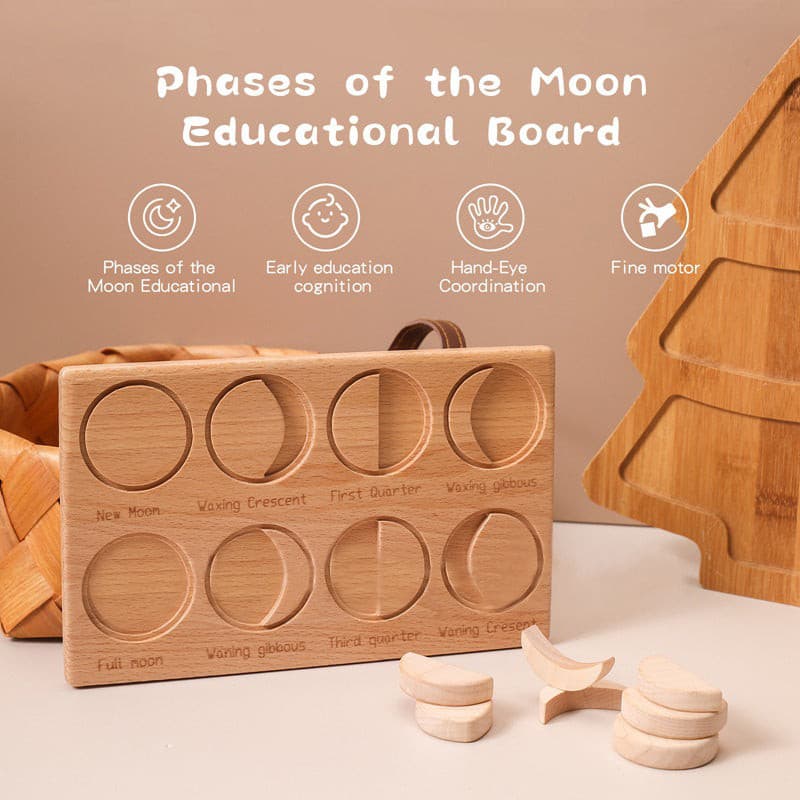 Phases of the Moon Educational Board. Science Toy