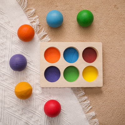 Wooden Colour Sorting Balls Toy for Early Learning Toy